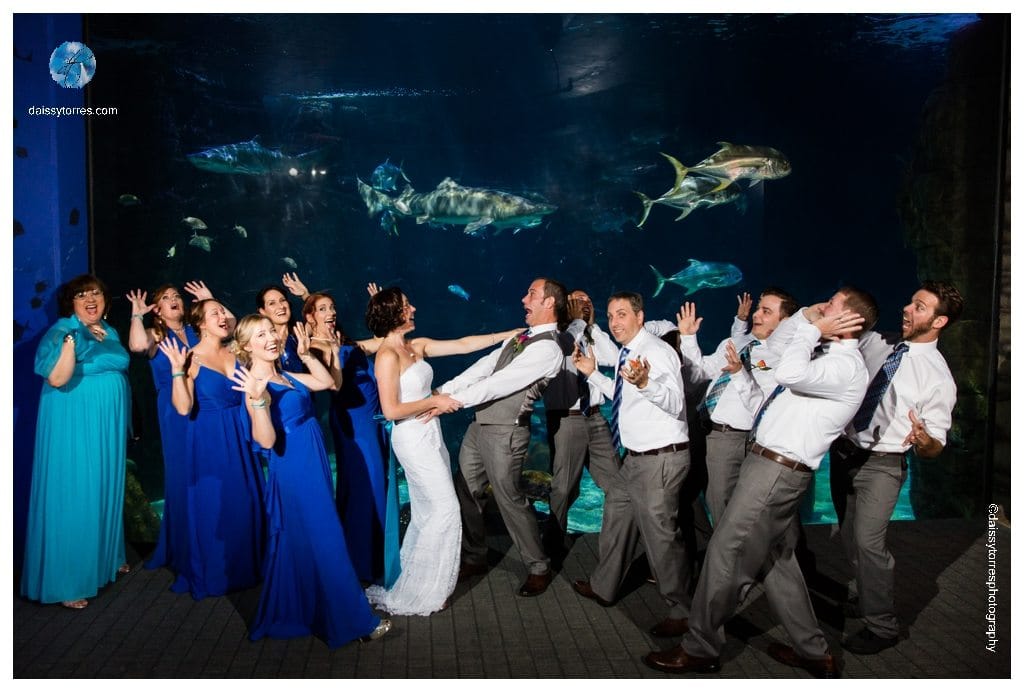 Virginia Aquarium Wedding - Shark Tank bridal party