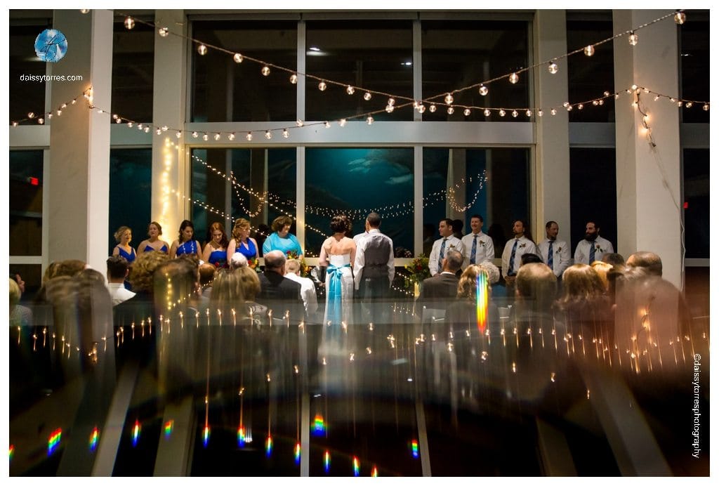 Virginia Aquarium Wedding - ceremony