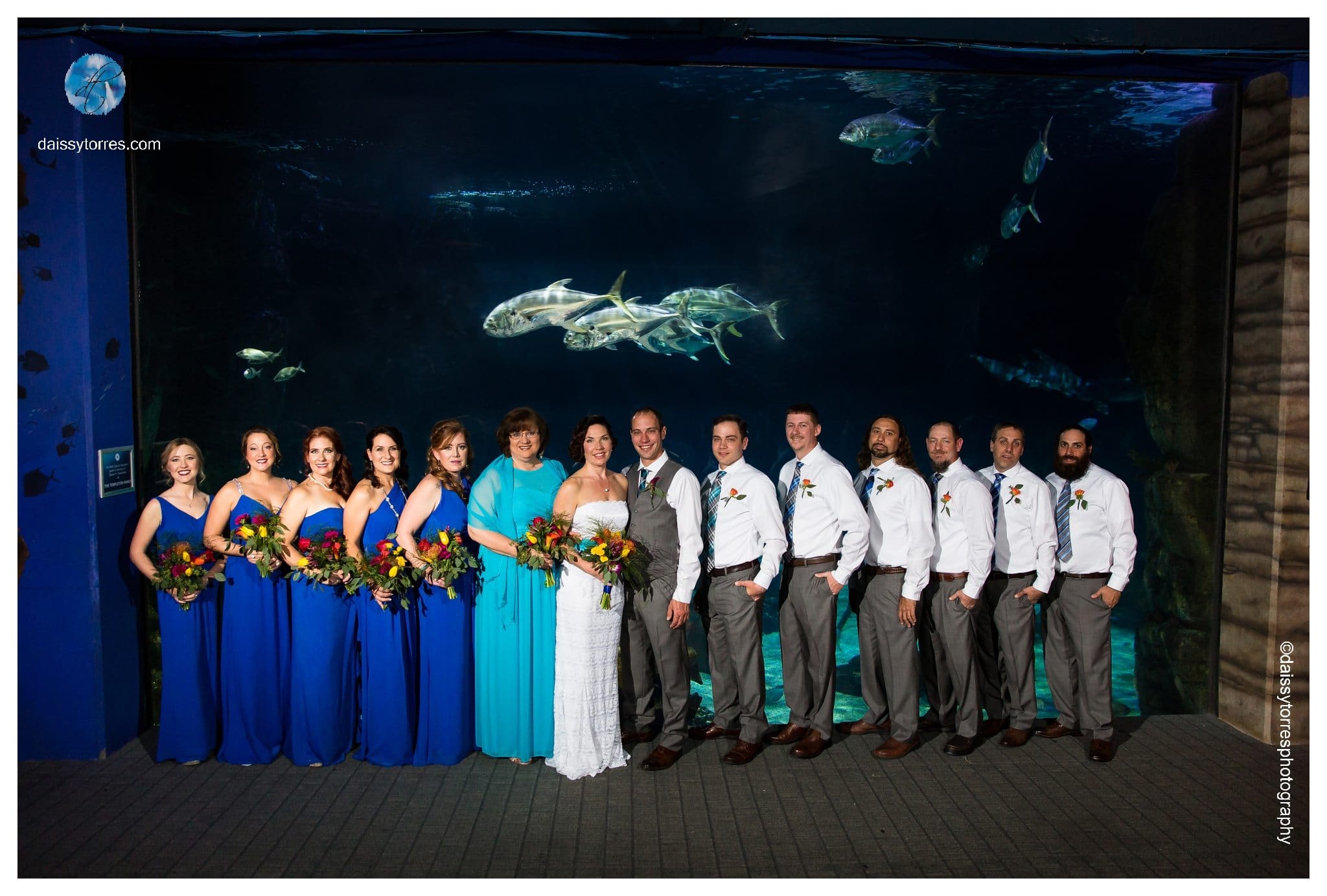 Virginia Aquarium Wedding - Shark Tank bridal party